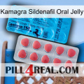 Kamagra Sildenafil Oral Jelly new14